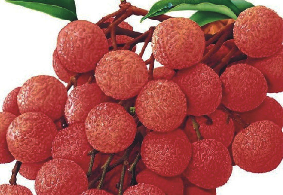 灵山荔枝
